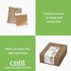 Maceta Catit Senses Grass con Recipiente Profundo y Orificios de Drenaje para Gatos de Interior - Product Image 2