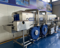 Machine à laver les palettes, machine à laver les caisses, équipement de nettoyage des bacs de manutention, équipement de traitement des fruits et légumes