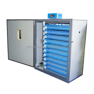 TUOYUN Factory Direct Sale Automatic Battery Emu Dc 12v Egg 1000 Incubator For Hatching Chicken Eggs