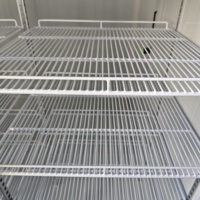 Cámara Frigorífica Industrial para Supermercados con Estantes, Puerta de Vidrio Abatible, Cámara Fría de 2 a 8 Grados para Tiendas de Conveniencia