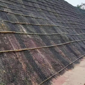 Mur de Cage en pierre de grillage tissé par boîte hexagonale enduite verte de PVC Gabion pour la coupe de soudure de Protection de barrage de rivière disponible pour - Product Image 6