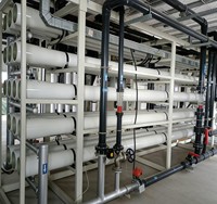 Système de traitement d'eau par osmose inverse (RO) entièrement automatique 60000L/H avec réservoir sous pression, pompe à moteur et roulement – Garantie 1 an pour usage domestique