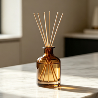 Diffuseur de parfum d'ambiance de luxe pour la maison et l'hôtel, avec bâtonnets et huiles essentielles aromatiques, coffret cadeau