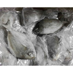 Poisson congelé, poisson pomfret noir en vente, pomfret noir et blanc, prix bas, exportation de poisson - Product Image 4