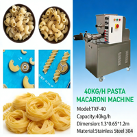 Machine à pâtes industrielle compacte en acier inoxydable 304 de qualité alimentaire, 40 kg/h, machine à macaroni autonome, moteur électrique pour pâtes fraîches