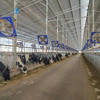 Estructura de acero prefabricada estilo granja moderna oveja cabra granja granero casa cobertizo de vacas lecheras y edificio de granja de ganado