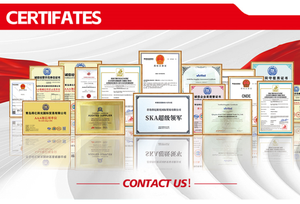 Pompe à carburant CNDE de haute qualité basse pression OEM 20927350 21231294 21683947 7421683947 7422770831 22770831 210195 pour camion - Product Image 5