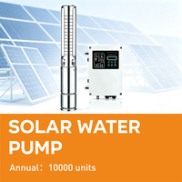 Pompe à eau submersible solaire en acier inoxydable haute performance pour puits profond AC/DC 35M/H 80m de hauteur de refoulement entièrement automatique