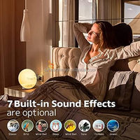 Réveil Lumineux Radio FM Simulation Lever et Coucher de Soleil Lumière d'Ambiance Colorée Bruit Blanc et Veilleuse pour l'Endormissement