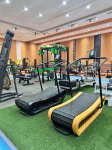 <span class=keywords><strong>Tapis</strong></span> roulant professionnel en bois courbé <span class=keywords><strong>de</strong></span> luxe, auto-alimenté, manuel, avec une capacité <span class=keywords><strong>de</strong></span> charge maximale <span class=keywords><strong>de</strong></span> 180 kg, pour studio <span class=keywords><strong>de</strong></span> fitness - Product Image 2