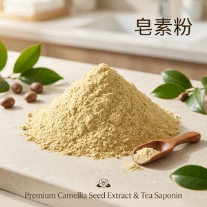 Poudre d'extrait <span class=keywords><strong>de</strong></span> <span class=keywords><strong>graines</strong></span> <span class=keywords><strong>de</strong></span> <span class=keywords><strong>Camellia</strong></span> <span class=keywords><strong>Sinensis</strong></span> pour thé, Saponine 60%, Direct Usine - Product Image 1