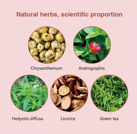 Tisane Naturelle OEM pour le Bien-être : Chrysanthème, Andrographis, Hedyotis Diffusa – 20 Sachets