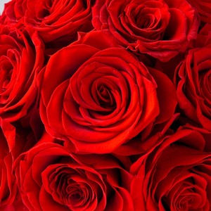 تصميم مستقبلي كلاسيكي ريفن ترافرتين فينيسي مع وردة مجففة محفوظة للأبد للزينة المركزية - Product Image 5