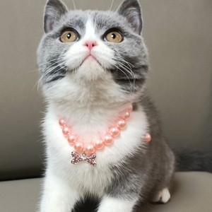 Lüks Pet inci kolye Bling köpek kedi inci yaka kolye papyon ile sevimli Pet süs köpek kemik kolye - Product Image 4
