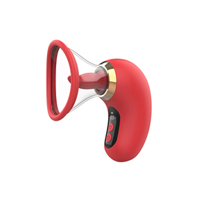 Tampilan LCD dapat dilepas Cup klitoris <span class=keywords><strong>G</strong></span> <span class=keywords><strong>Spot</strong></span> <span class=keywords><strong>Vibrator</strong></span> wanita alat masturbasi mengisap lidah memanjat <span class=keywords><strong>Vibrator</strong></span> mainan seks untuk wanita - Product Image 6