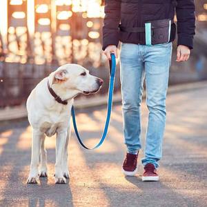 Muestra Gratis, Bolsa Portátil para Premios de Mascotas, Bolsa de Lona para Comida de Perro, Bolsa de Almacenamiento de Comida para Perro con Cordón, Bolsa de Entrenamiento para Premios de Perro - Product Image 3