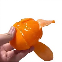 Jouet orange pelable en TPR souple, balle à presser pour bureau, école, salle de classe, cadeau de fête, enfants, adultes, anti-stress