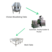 Machine d'abattage de volailles à petite échelle en promotion avec pompe et moteur, haute productivité 200 poulets/heure, 380V/220V