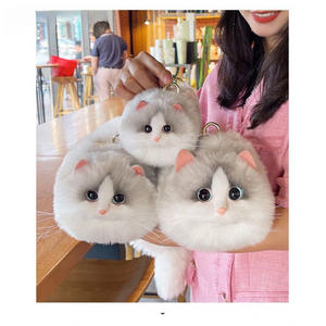 Pop tarzı küçük niş kedi çantası yabancı tarzı cep telefonu Crossbody çanta ile yeni ağ kırmızı zincir popüler evcil hayvan taşıyıcı - Product Image 6