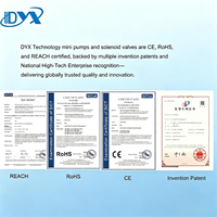 DYX-Electrovanne pour eau chaude DC6V 12V 24V, régulateur de pression d'eau pour machine à café, vanne de contrôle du niveau d'eau 2 bits