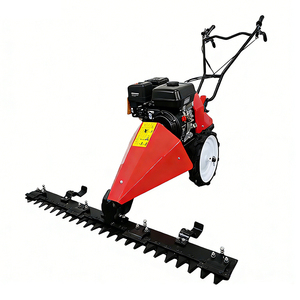 Cortacésped de Empuje para Viñedos, 212cc, Gasolina, Ancho de Corte de 80cm, Altura Ajustable de 1-8cm, Neumático Sólido para Cultivos en Hileras - Product Image 2