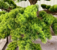 Vente en gros de plantes artificielles en plastique personnalisables pour l'aménagement paysager intérieur et extérieur, décoration d'hôtels et de restaurants, pin artificiel