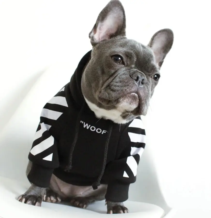 Nuovi abiti di design di lusso all'ingrosso forniture di abbigliamento per animali domestici vestiti per cani