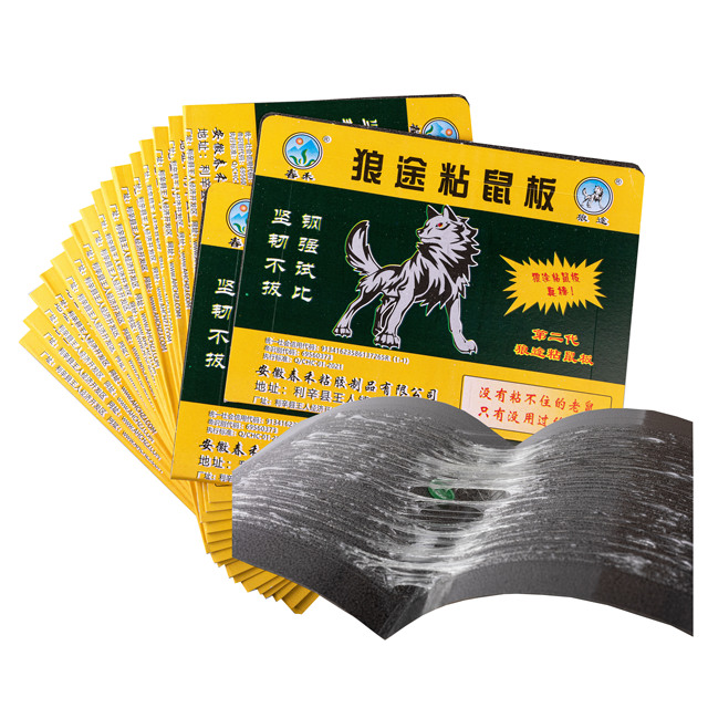 Physical Rodent Control Manufacturer Produces Adhesive Mouse Board Wholesale Indoor Mouse Traps