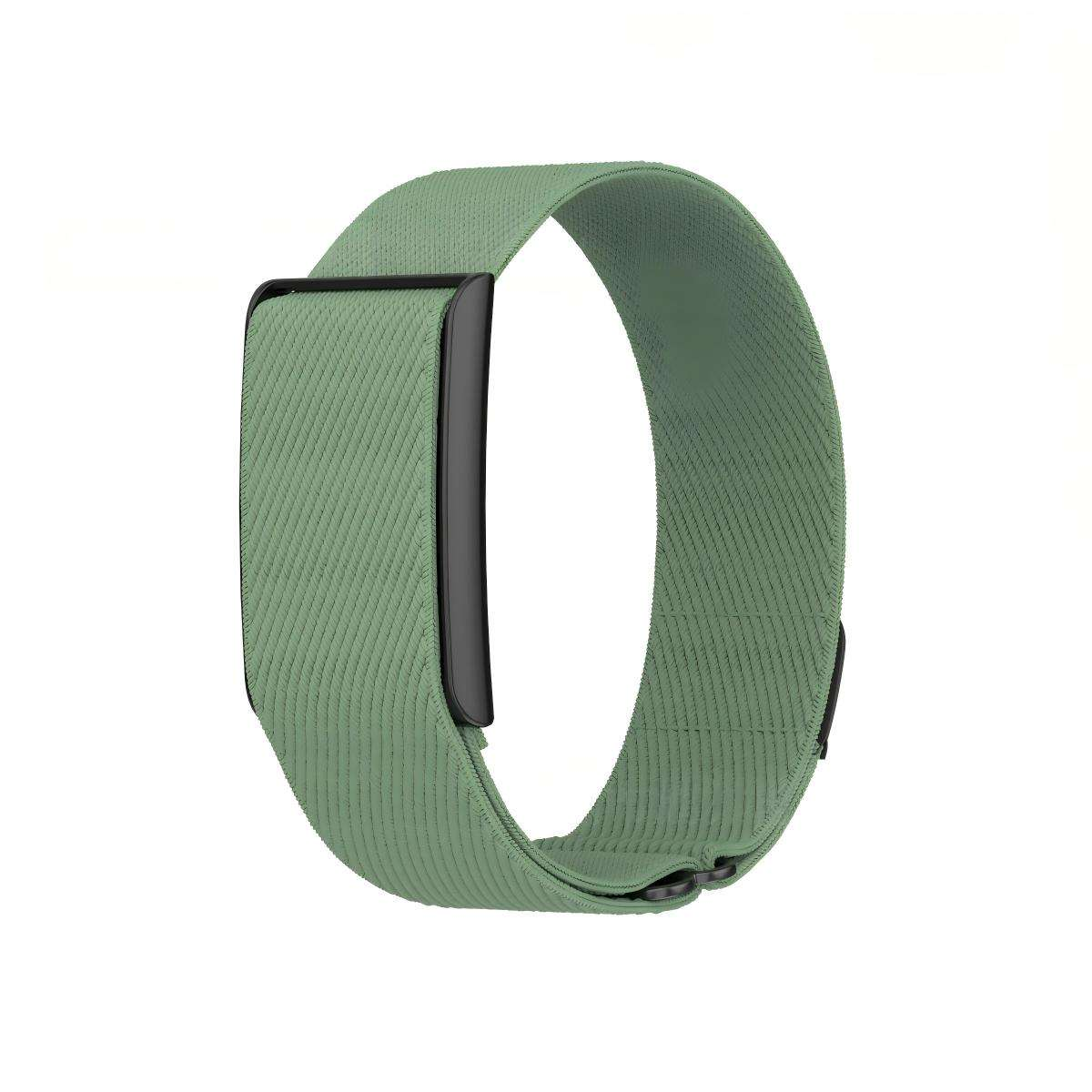 Verde Oscuro Claro