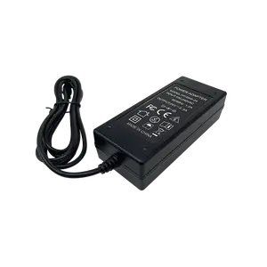 Aangepaste 1.2a 2a 2.5a 2.7a Universele 220V Output 24V 2a 60W 65W Usb C Ac Dc Voeding Adapter