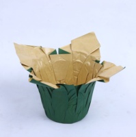 Décoration intérieure BOPP couvercle de Pot de fleur pour plantes couvercle en plastique fabricant d'usine rond léger bureau fleur plante décoration