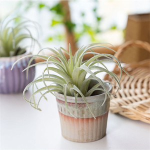 Bromelia suculenta artificial, pequeñas plantas <span class=keywords><strong>en</strong></span> maceta para decoración de oficina, escritorio, 2 unidades - Product Image 2