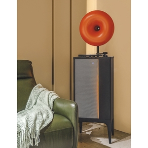 Máy ghi âm Vinyl chuyên nghiệp thời xưa Máy ghi âm Bluetooth âm thanh Hifi bàn xoay máy hát - Product Image 6