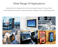 Layar LCD TFT 10.1 Inci Panel Sentuh 1024x600 Resolusi Tinggi Antarmuka LVDS Permukaan Anti-Silau Modul LCD 500 Nit