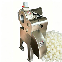 Pompoen Snijmachine HR-100 RVS Groenten Snijmachine 300-1000KG/H Pompoenblokjes Snijmachine
