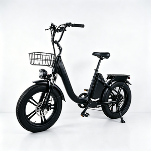 Vélo électrique de ville pour femmes de 20 pouces avec <span class=keywords><strong>prix</strong></span> d'usine, vélo électrique <span class=keywords><strong>750</strong></span> watts 48V, vélo hybride électrique pour femmes - Product Image 6