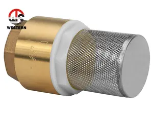 4 pouces Chine Clapet anti-retour Ressort Vertical unidirectionnel en laiton Clapet de pied prix pour pompe à eau