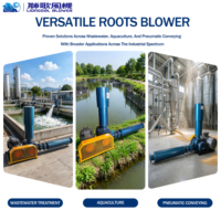 Souffleur d'air de type Roots à haut rendement volumétrique 380V 1,1kW pour l'aération des cuves de boues activées