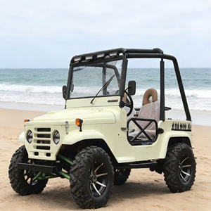 Mini Buggy de 300cc de Buena Calidad, Quad Deportivo, UTV Automático, ATV de Carreras, Mini Jeep Willys de Gasolina - Product Image 3
