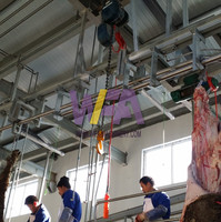 Équipement d'abattoir de bétail de haute qualité WFA, palan de levage de carcasses pour abattoir de boeuf