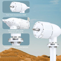 Kit de générateur éolien horizontal à 3 pales de 2000W, générateur synchrone AC triphasé NdFeB 24V 48V
