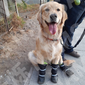 Dogs <b>Long</b> Tube Rain Shoes Waterproof Rubber Winter Outdoor Anti <b>Slip</b> Pet Shoes For Medium Large Dogs - Product Image 2
