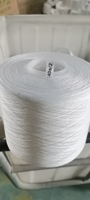 Fil à coudre SPP 100% recyclé pré-consommation 29S/2, haute ténacité, blanc brut, vente en gros, meilleure vente