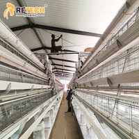 Excellent rapport qualité-prix : Équipement de cage en batterie pour poules pondeuses de type 3 niveaux avec système de retrait automatique du fumier pour 20 000 poules pondeuses