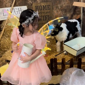Nouvelles ailes de papillon électriques créatives pour enfants, ailes de fée, ailes de papillon pour petites filles - Product Image 4