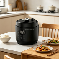 Cuisinière électrique à pression de grande capacité 6L, cuve intérieure en acier inoxydable 304, double tension 110V 220V, multicuiseur 12-en-1, OEM