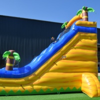 Toboggan aquatique gonflable avec palmier, toboggan à une voie, équipement de jeu aquatique extérieur pour le défi et le plaisir estivaux