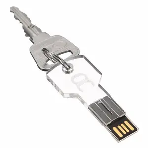 Led Key Shape USB Gadget Silver Thumb Drive 8GB-64GB Memory Stick Expansion Disk for Computer Use with LED Light-up