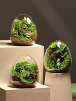 Terrarium en verre en forme d'œuf, planteur hydroponique pour plantes succulentes