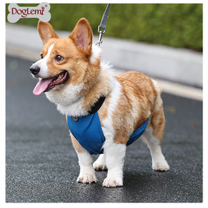 Produits d'habillement pour animaux <span class=keywords><strong>de</strong></span> compagnie en Chine, vente chaude, nouveau bavoir mignon pour toutes les races <span class=keywords><strong>de</strong></span> <span class=keywords><strong>chiens</strong></span>, bavoir anti-salive, bavoir imperméable pour Corgi - Product Image 6